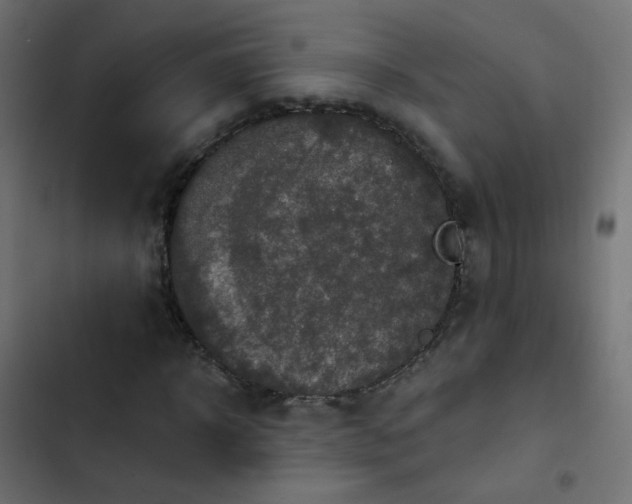 X0000103950918200809261745