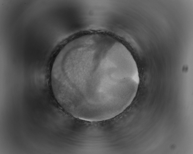 X0000103950920200809261745