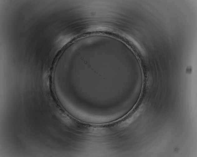 X0000103950921200809261745