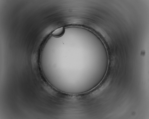 X0000103950922200809261745