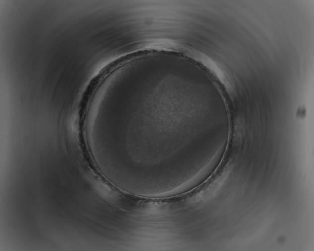 X0000103950923200809261745