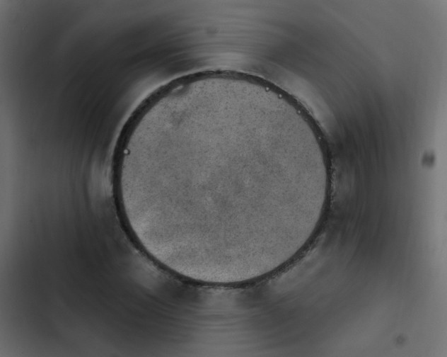 X0000103950924200809261745