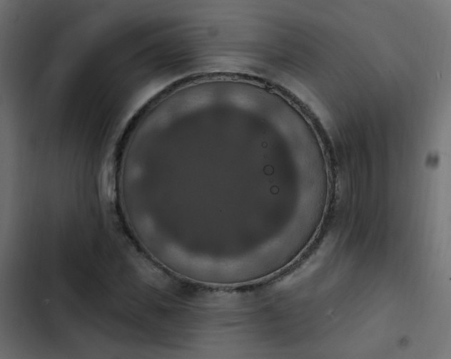 X0000103950925200809261745