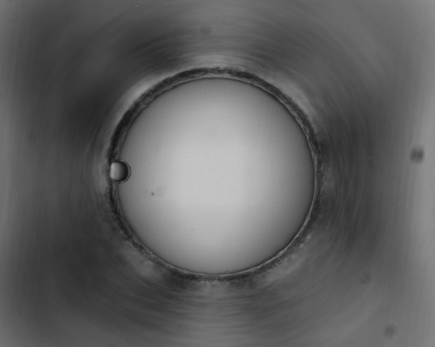 X0000103950927200809261745