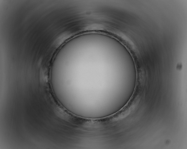 X0000103950929200809261745