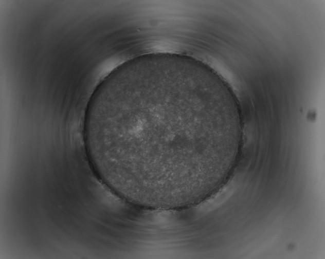 X0000103950930200809261745