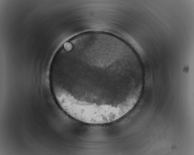 X0000103950932200809261745