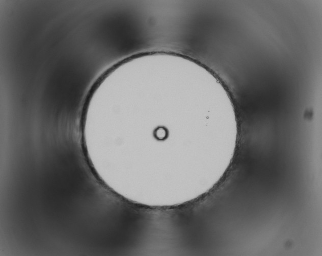 X0000103950936200809261745