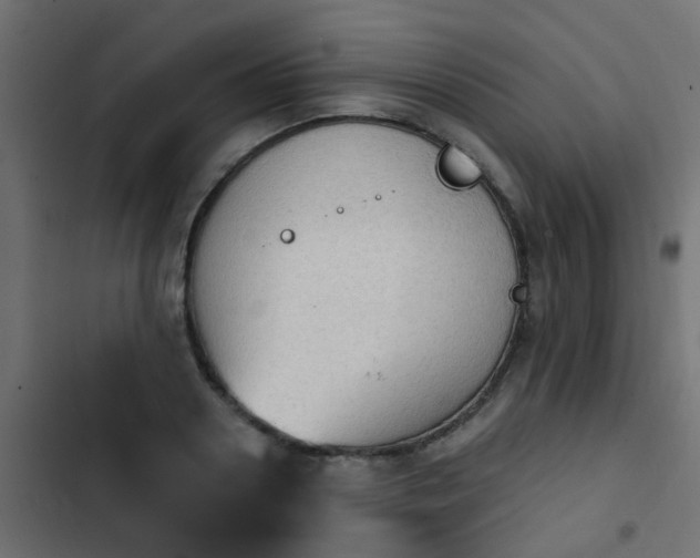 X0000103950938200809261745