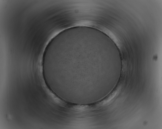 X0000103950939200809261745