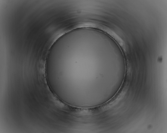 X0000103950945200809261745