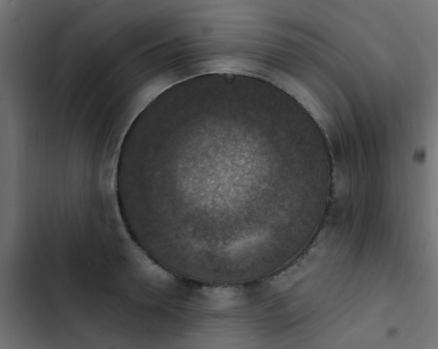 X0000103950946200809261745