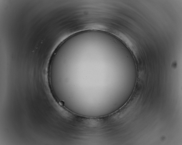 X0000103950947200809261745