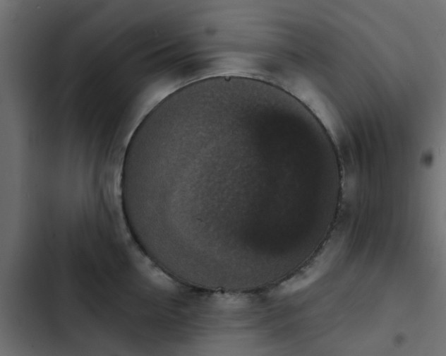 X0000103950954200809261745