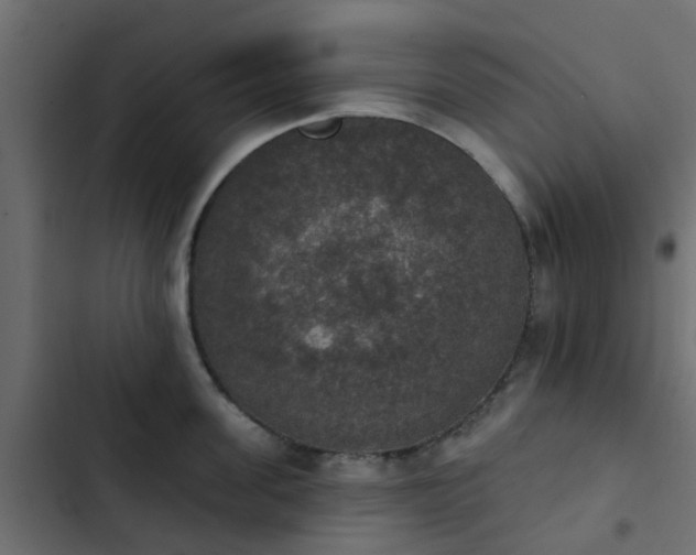 X0000103950955200809261745