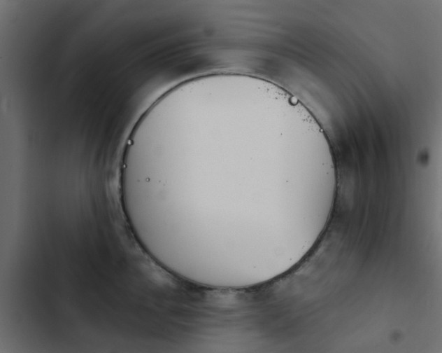 X0000103950956200809261745