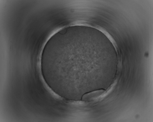 X0000103950957200809261745