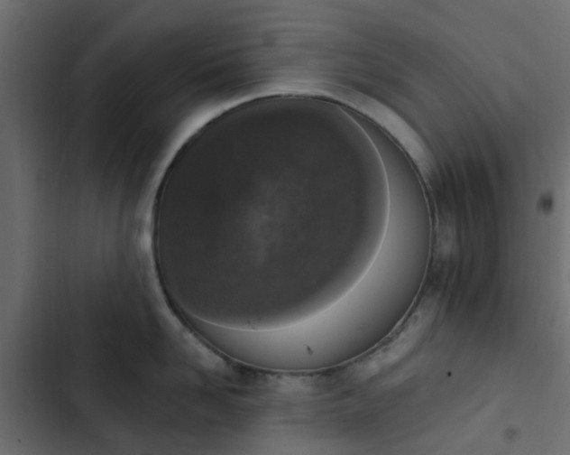 X0000103950958200809261745