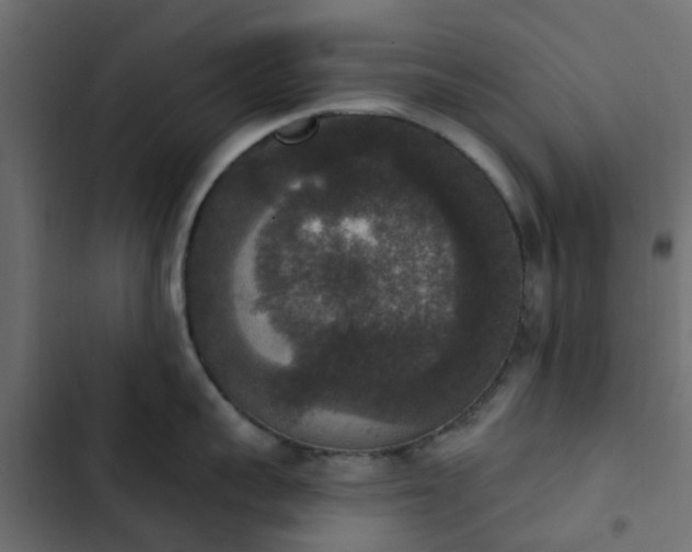 X0000103950959200809261745