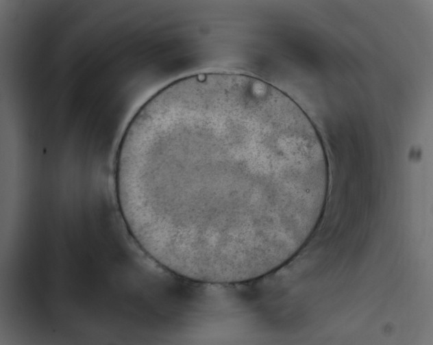 X0000103950960200809261746