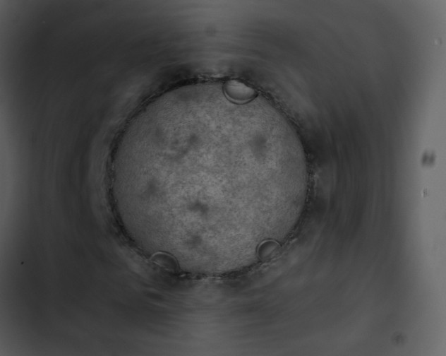 X0000103950961200809261745