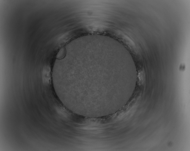 X0000103950963200809261745