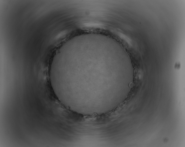 X0000103950965200809261745