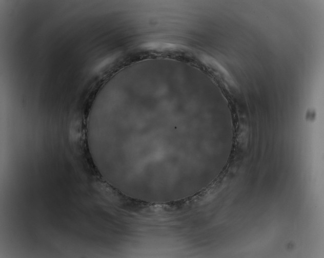 X0000103950966200809261745