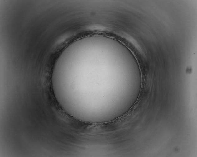 X0000103950967200809261745