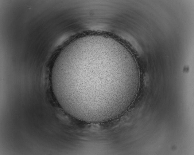 X0000103950968200809261745