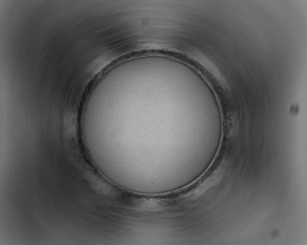 X0000103950969200809261745