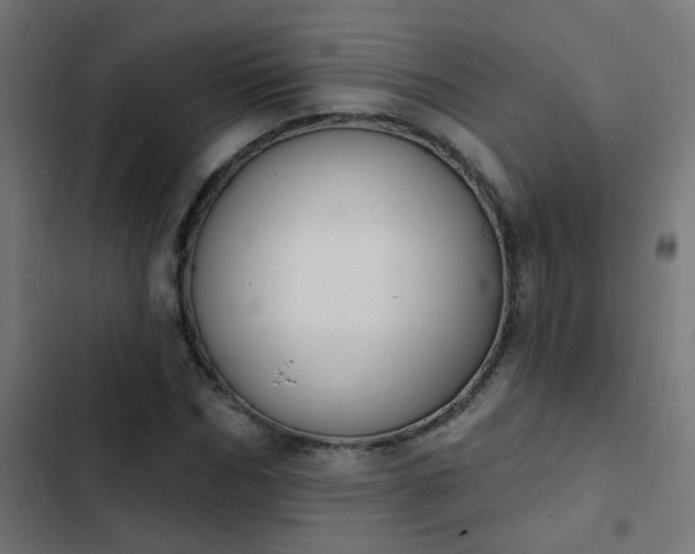 X0000103950970200809261745