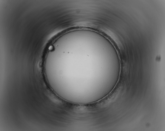 X0000103950971200809261745