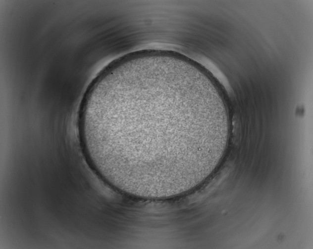 X0000103950972200809261745