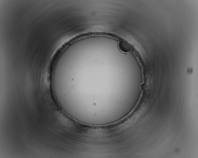 X0000103950973200809261745