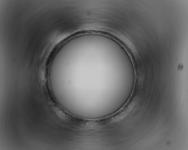 X0000103950974200809261745