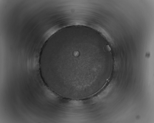 X0000103950977200809261744