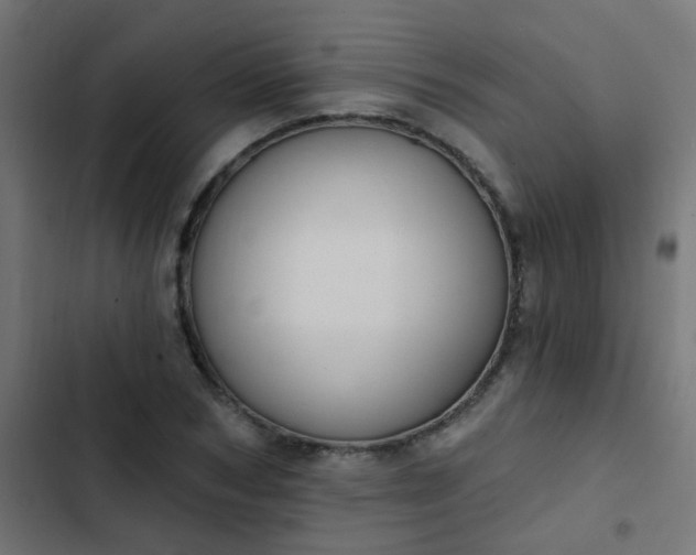 X0000103950978200809261744