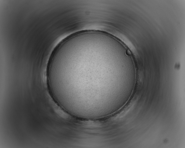 X0000103950980200809261744