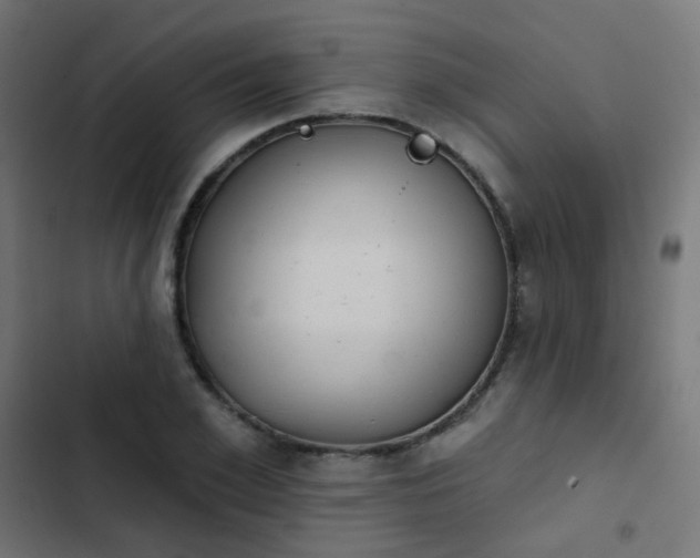 X0000103950981200809261744