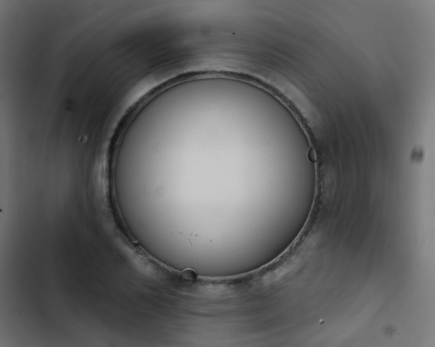 X0000103950982200809261744