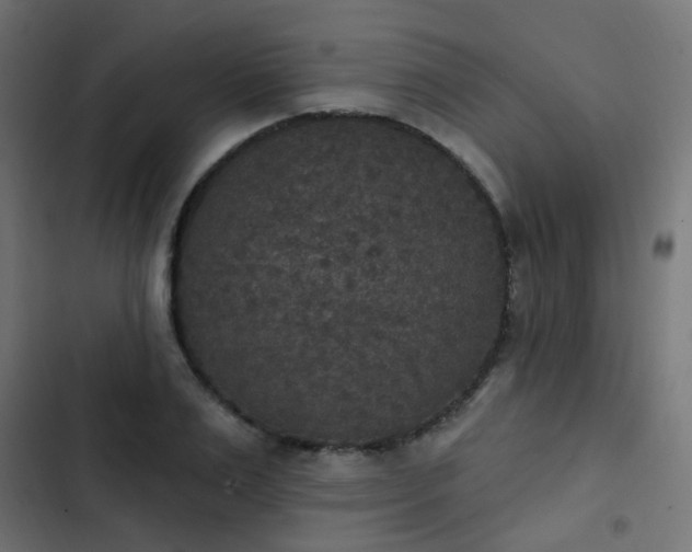 X0000103950983200809261744