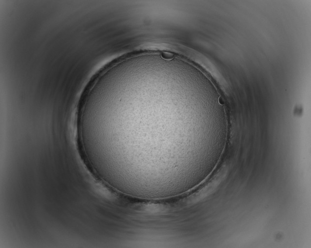 X0000103950984200809261744