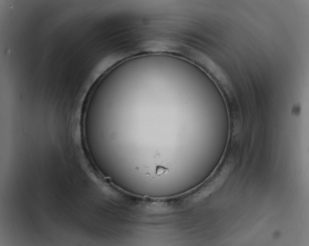 X0000103950986200809261744