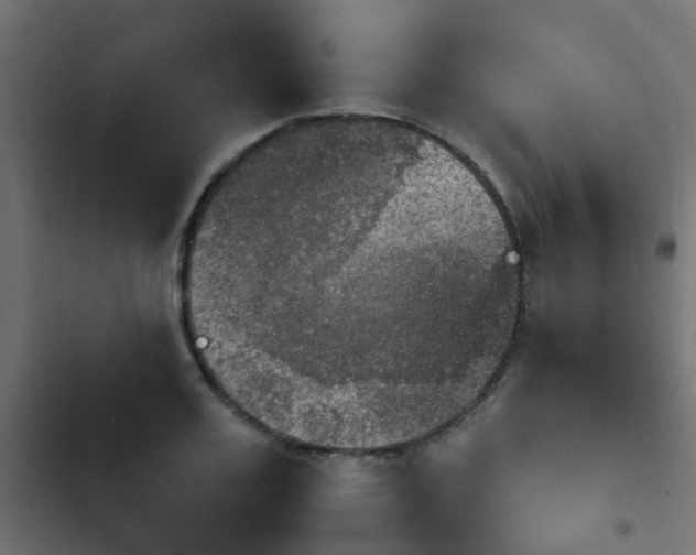 X0000103950987200809261744