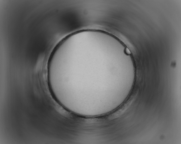 X0000103950988200809261744