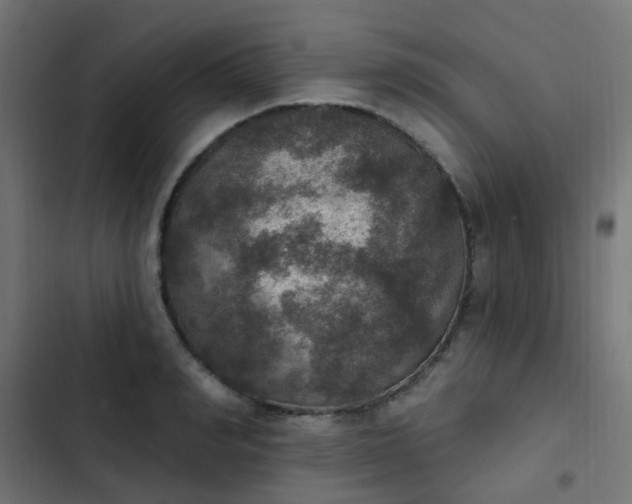 X0000103950990200809261744