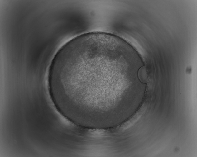 X0000103950991200809261744