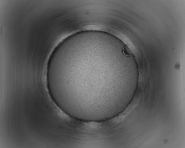 X0000103950992200809261744