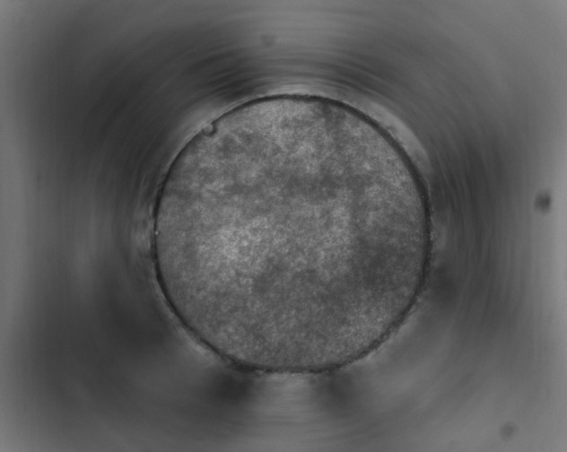 X0000103950993200809261744